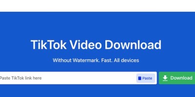 snaptik – Tiktok无水印解析下载 snaptik – Tiktok无水印解析下载