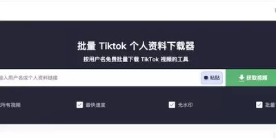 savetikpro:線上TikTok影片下載工具,免費批量下載TikTok影片 savetikpro:線上TikTok影片下載工具,免費批量下載TikTok影片