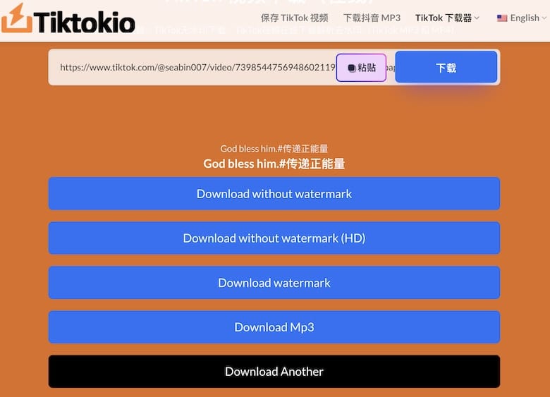 TikTokio - 線上 TikTok 影片下載工具