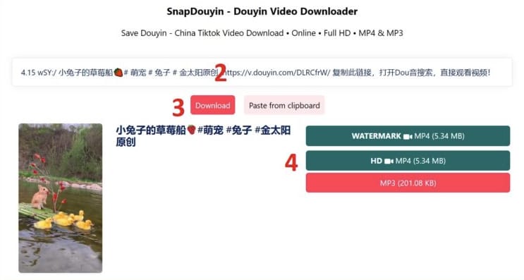 SnapDouyin - 抖音影片去浮水印解析下載的線上工具