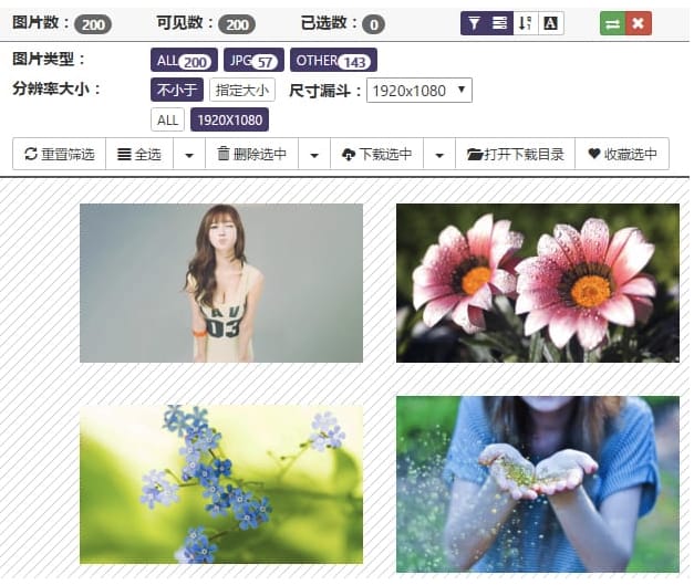 圖片助手(ImageAssistant) - Chrome 網頁圖片下載工具