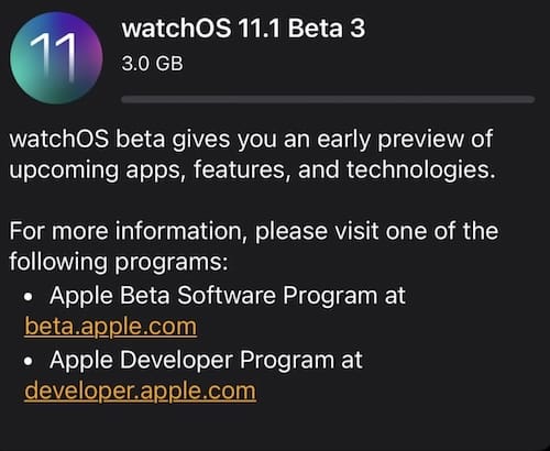 蘋果緊急撤回 watchOS 11.1 Beta 3 更新，部分用戶升級後當機需送修